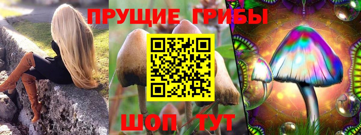 купить наркотик  Псилоцибиновые грибы ЛСД  Вход с VPN  Грязи 